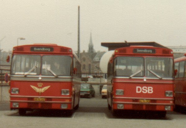 DSB Rutebiler nr. 239 & 142. Photo Tommy Rolf Nielsen Martens